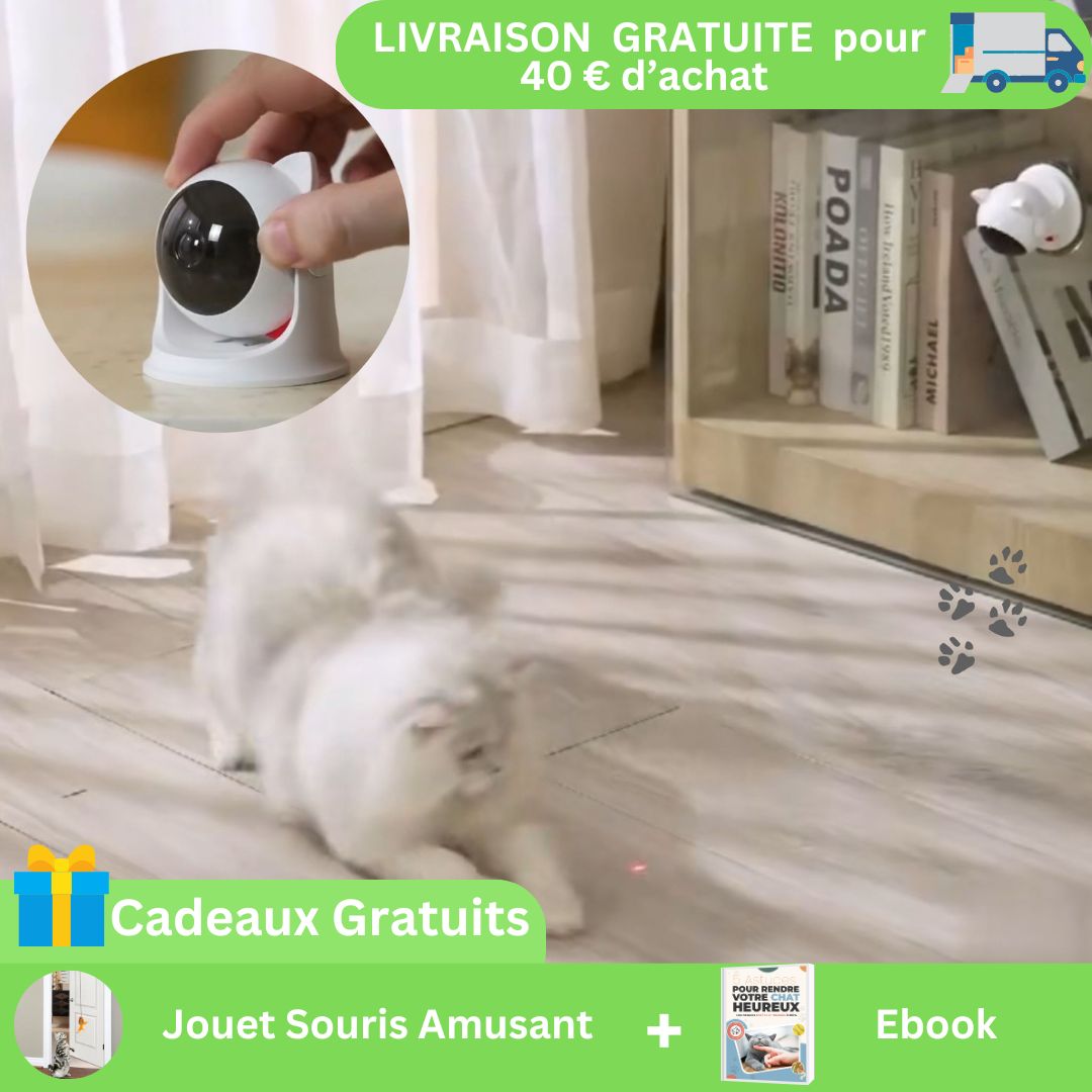 Jouet pour chat | LaserFur™