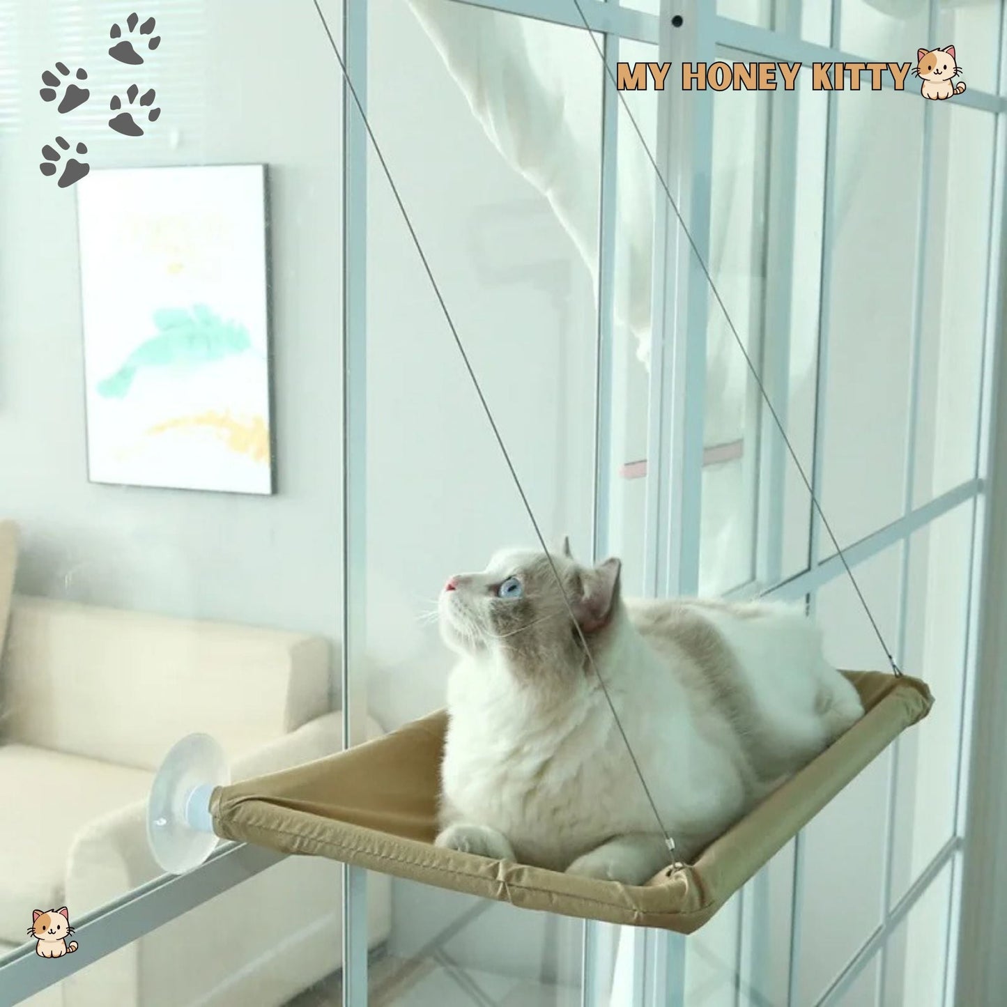 Hamac pour chat | WindowFeline™ - My Honey Kitty