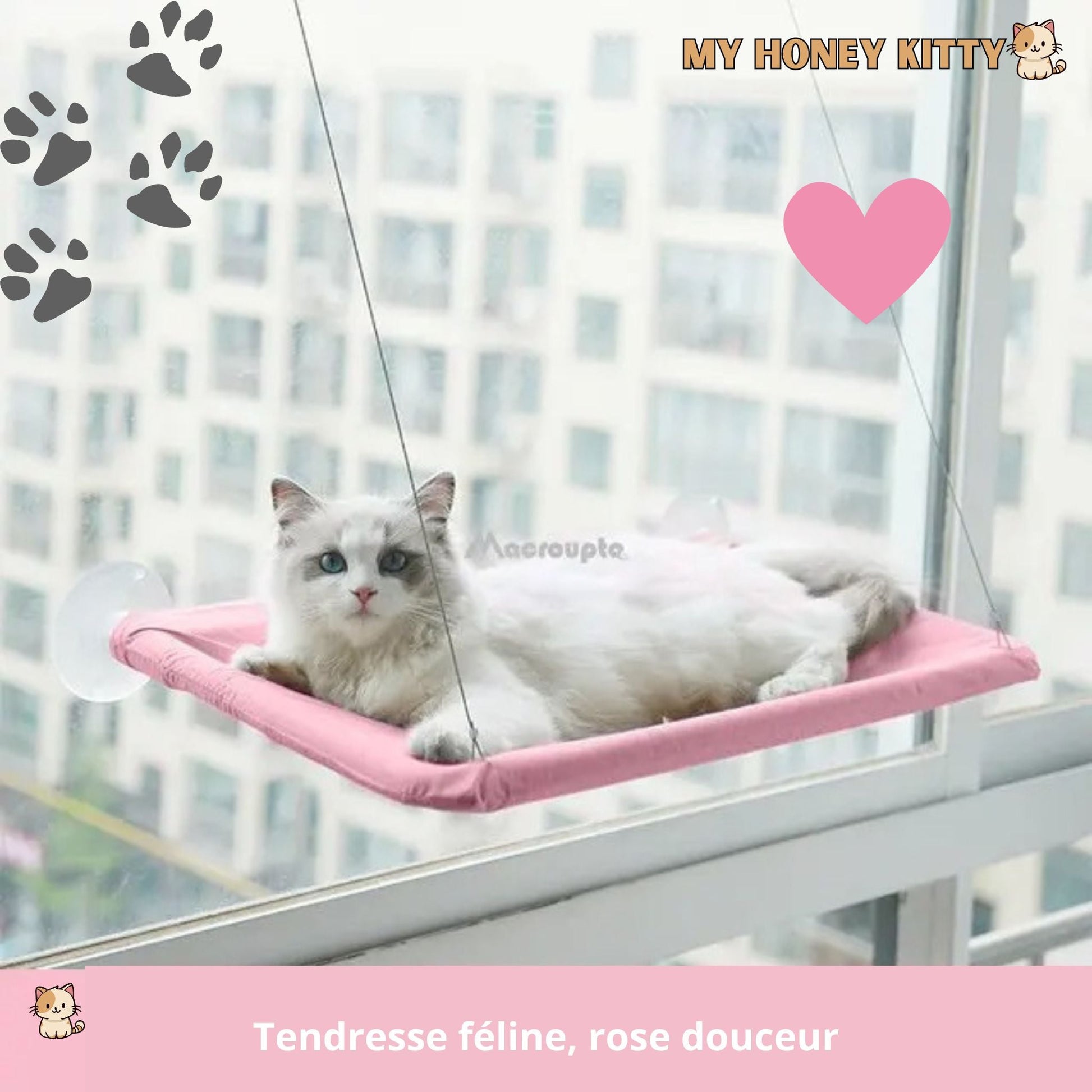 Hamac pour chat | WindowFeline™ - My Honey Kitty