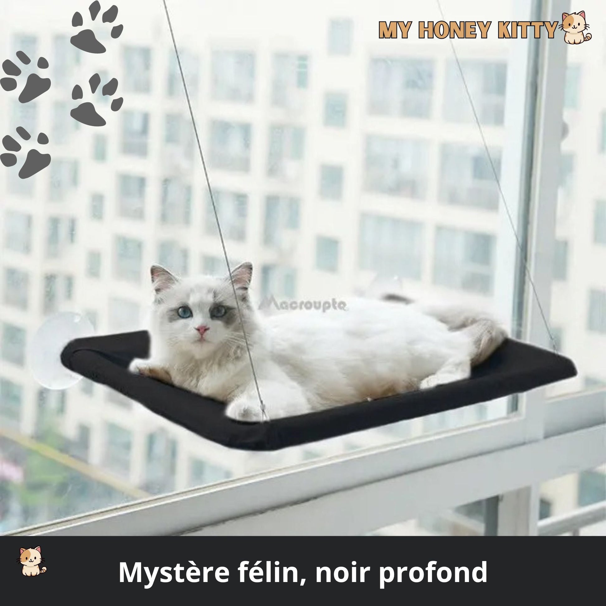 Hamac pour chat | WindowFeline™ - My Honey Kitty