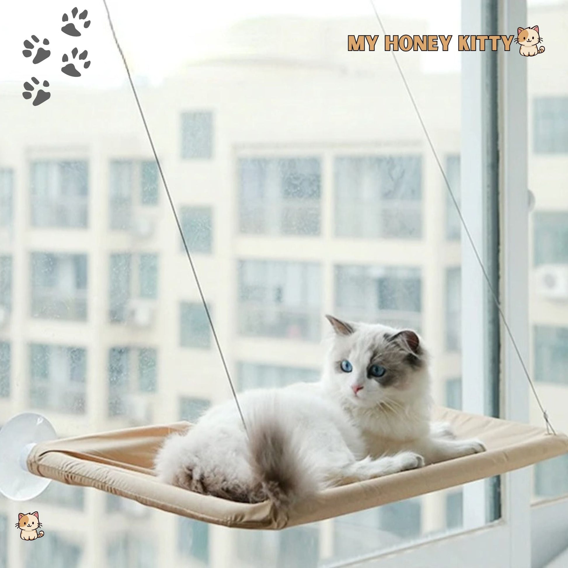 Hamac pour chat | WindowFeline™ - My Honey Kitty